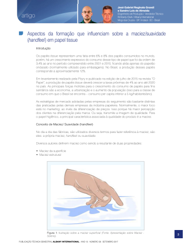 Aspectos Da Formação Que Inﬂuenciam Sobre A Maciez E Suavidade (Handfeel) Em Papel Tissue Thumbnail Image