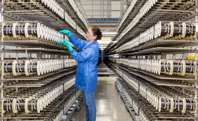 JBP X02 CALB 03 Final Web